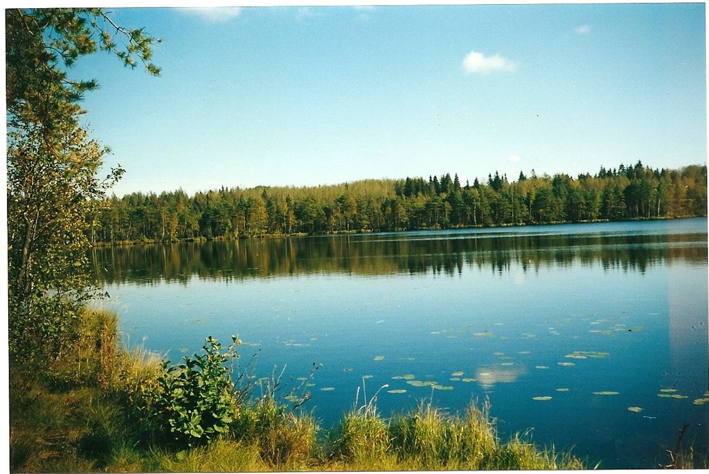 Фотографии.